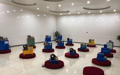 Κίνα Shanghai Fanying Machinery Technology Co., Ltd. Προφίλ εταιρείας